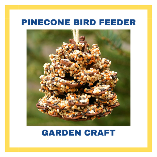 Garden Craft - Pinecone Bird Feeder